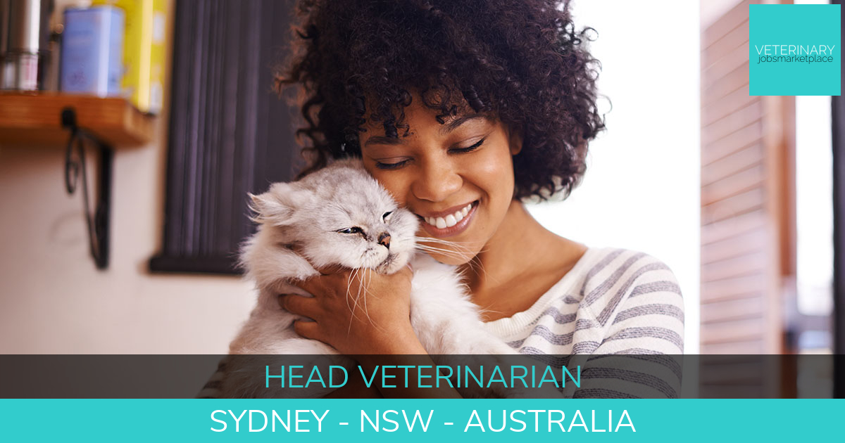Veterinary Jobs Sydney NSW Head Veterinarian Veterinary Jobs