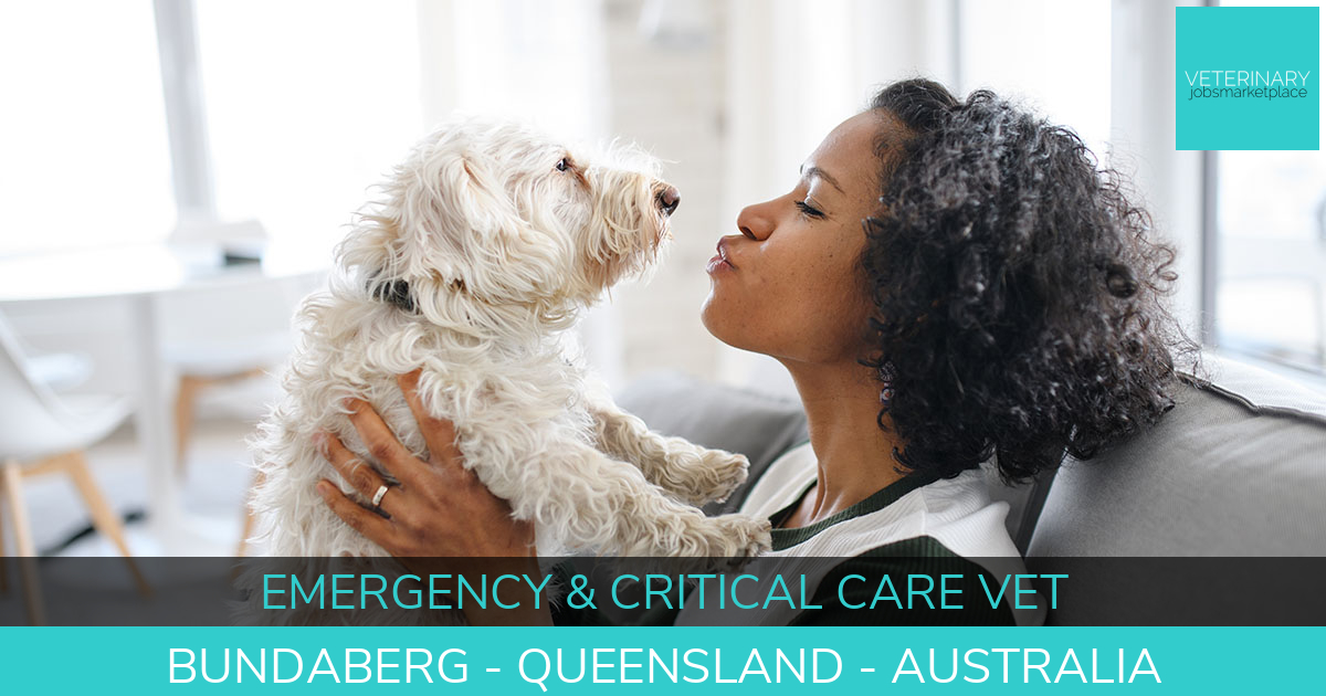 Veterinary Jobs Bundaberg Queensland Emergency & Critical Care Vet