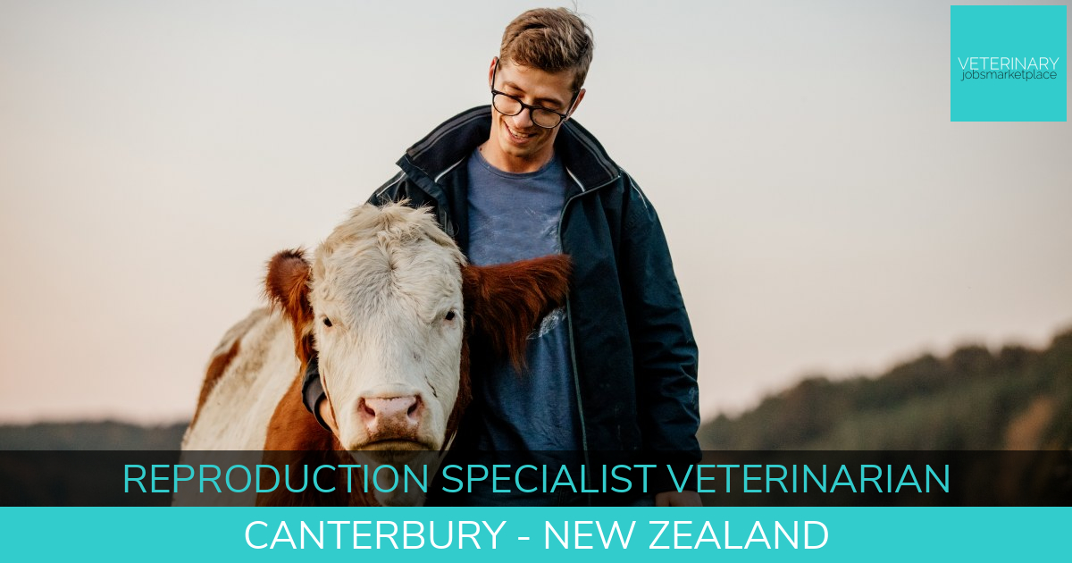 Veterinary Jobs Greater Christchurch Canterbury Reproduction