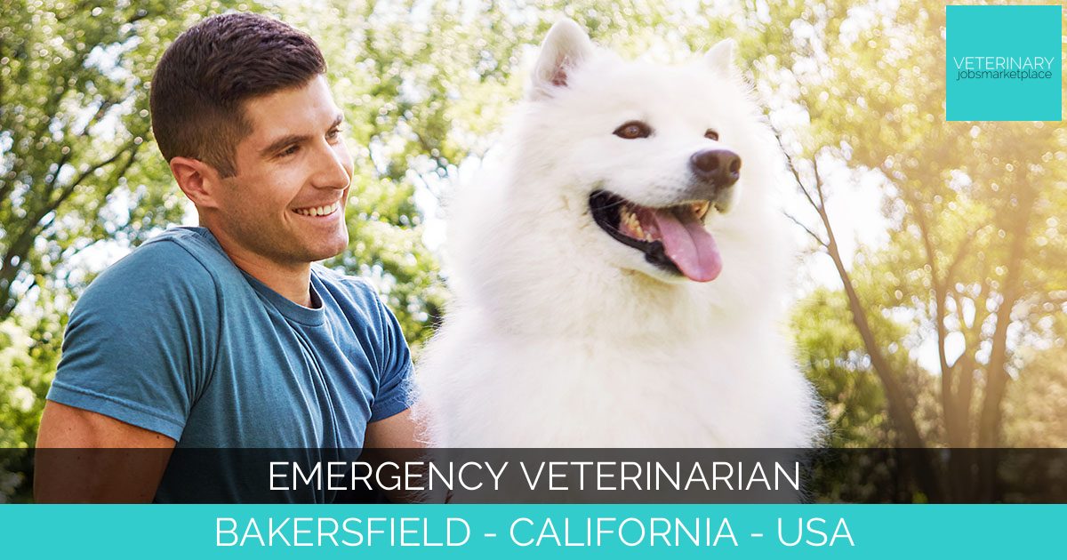 Emergency Veterinarian