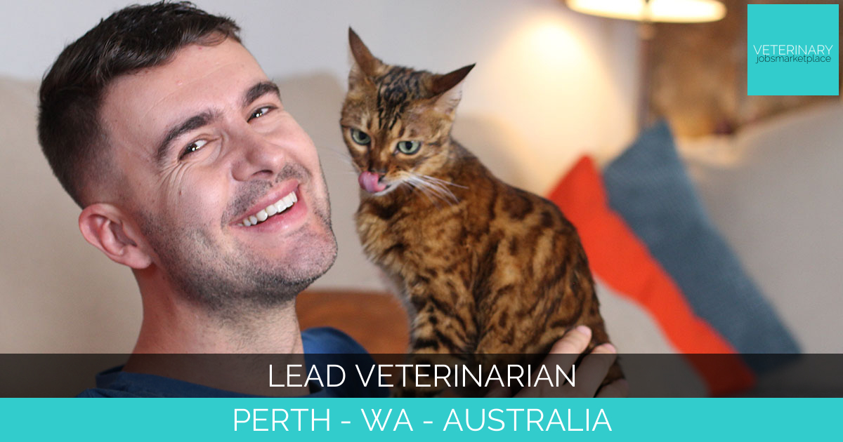 Lead Veterinarian