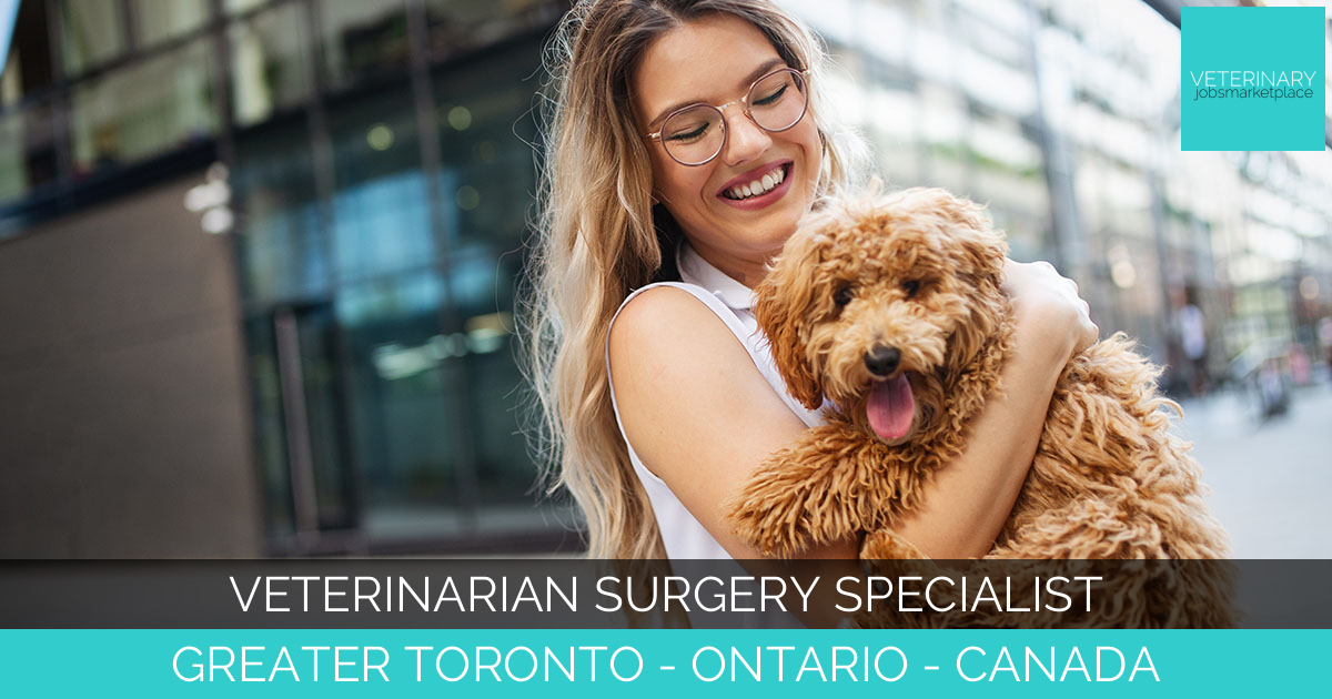 Veterinarian Surgery Specialist