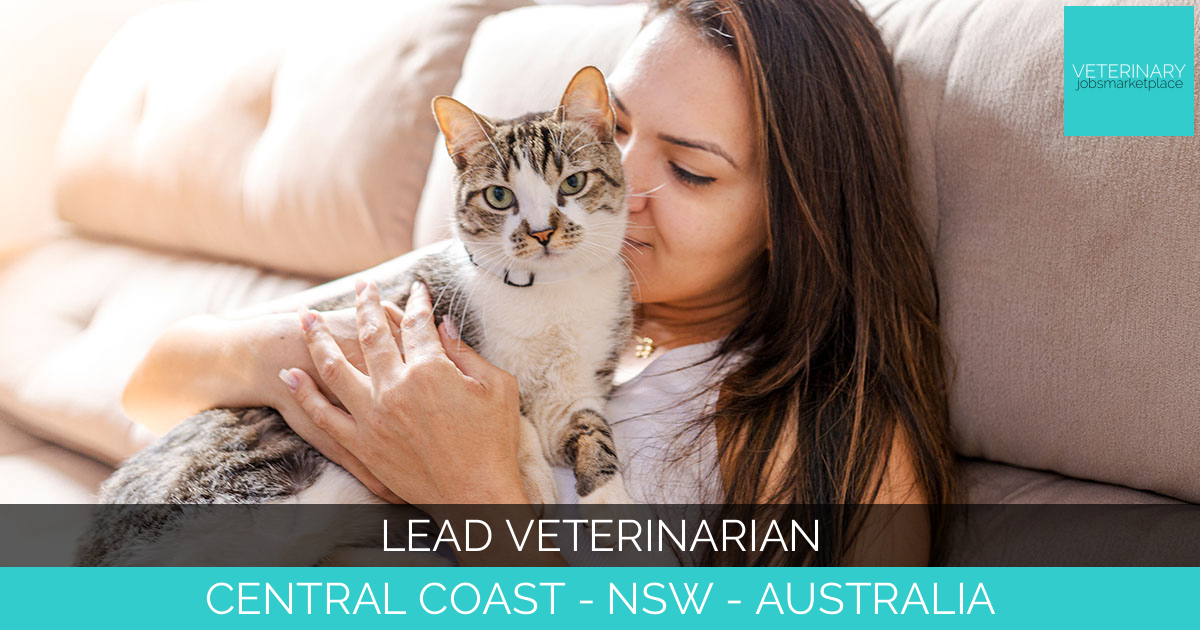 Lead Veterinarian