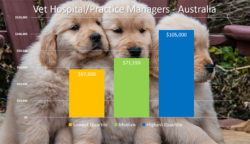 Veterinary Salary Survey - Veterinarian Salary- Veterinary Nurse Salary - Locum Veterinarian Hourly Rates