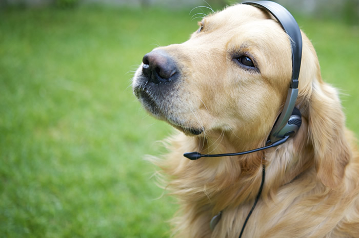 Call Centre Team Members