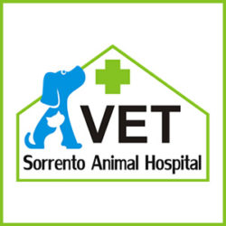 Vet Jobs - Sorrento Animal Hospital