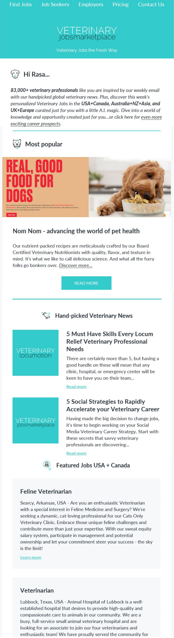 VetConnect Ad Campaigns