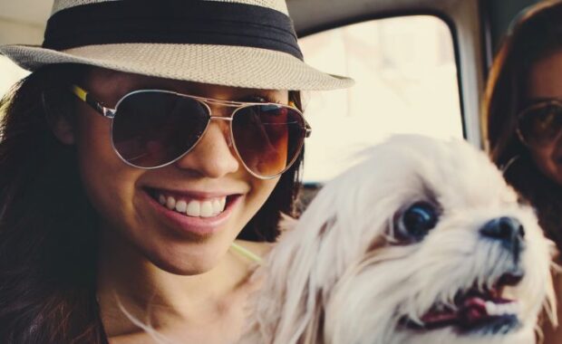 Veterinary Nurse Jobs