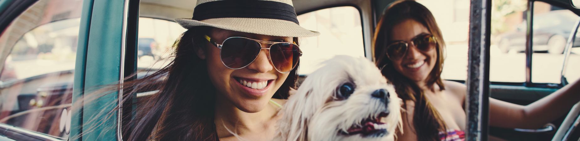 Veterinary Nurse Jobs