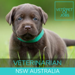 Veterinary Jobs - Vet Jobs - Veterinarian Jobs - DVM Jobs - Veterinary Surgeon Jobs