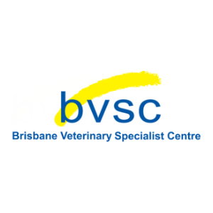 Veterinary Radiation Oncologist
