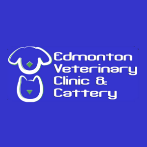 Veterinary Jobs - Vet Jobs - Veterinarian Jobs - DVM Jobs - Veterinary Surgeon Jobs - Veterinary Nurse Jobs - Vet Nurse Jobs - Veterinary Technician Jobs - Vet Tech Jobs - Veterinary Medicine Jobs - Veterinary Surgery Jobs - Vet Life