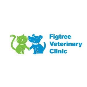 Small Animal Veterinarian