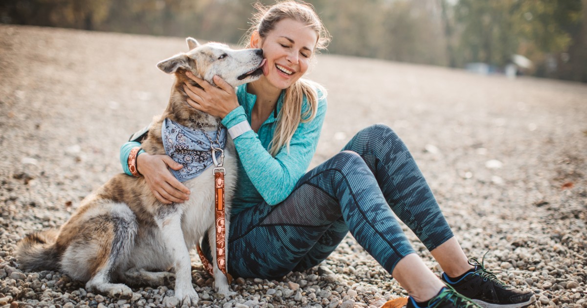 Veterinary Jobs - Vet Jobs - Veterinarian Jobs - DVM Jobs - Veterinary Surgeon Jobs - Veterinary Nurse Jobs - Vet Nurse Jobs - Veterinary Technician Jobs - Vet Tech Jobs - Veterinary Medicine Jobs - Veterinary Surgery Jobs - Vet Life