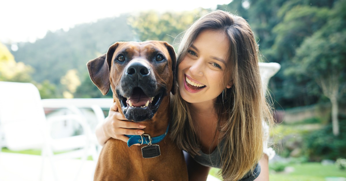 Veterinarian Jobs & Veterinary Nurse Jobs Veterinary Jobs Marketplace