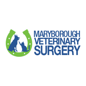 Veterinary Jobs - Vet Jobs - Veterinarian Jobs - DVM Jobs - Veterinary Surgeon Jobs - Veterinary Nurse Jobs - Vet Nurse Jobs - Veterinary Technician Jobs - Vet Tech Jobs - Veterinary Medicine Jobs - Veterinary Surgery Jobs - Vet Life