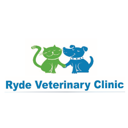 Lead Veterinarian