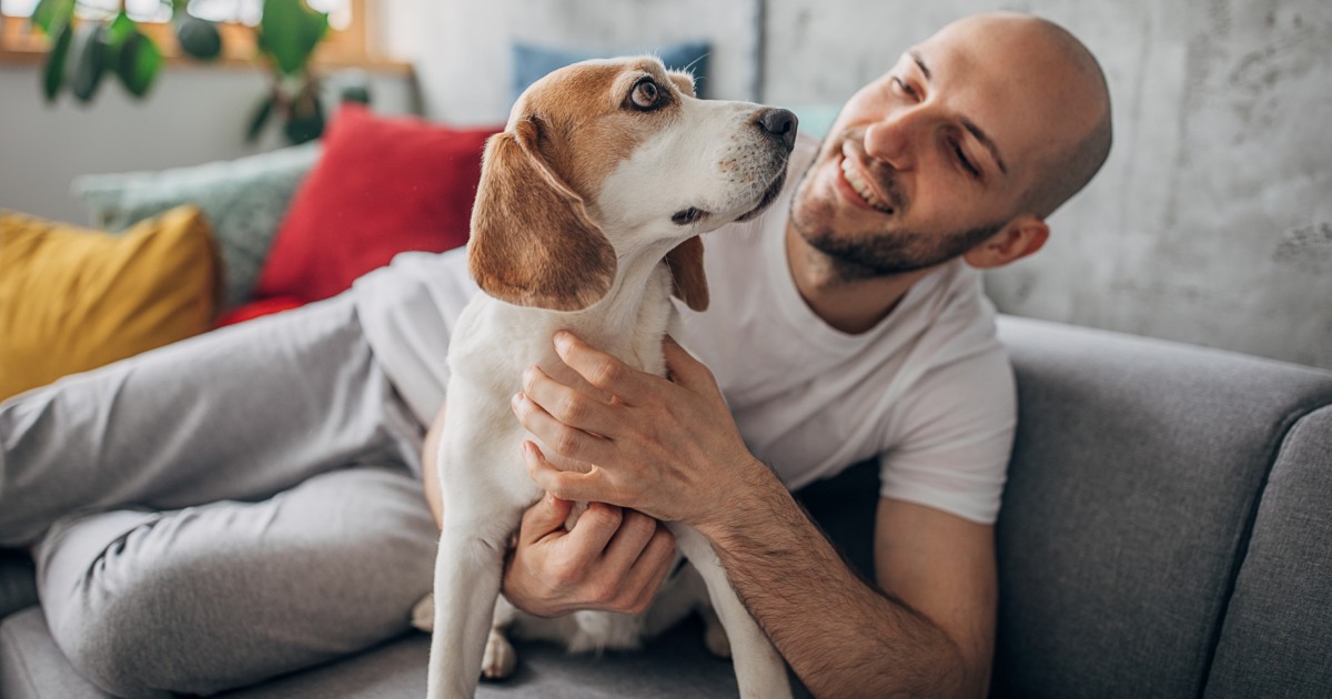 Veterinarian Salary Survey Australia JULY 2024 Veterinary Jobs