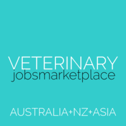 Veterinary Jobs Marketplace Hospital