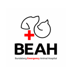 Bundaberg Emergency Animal Hospital