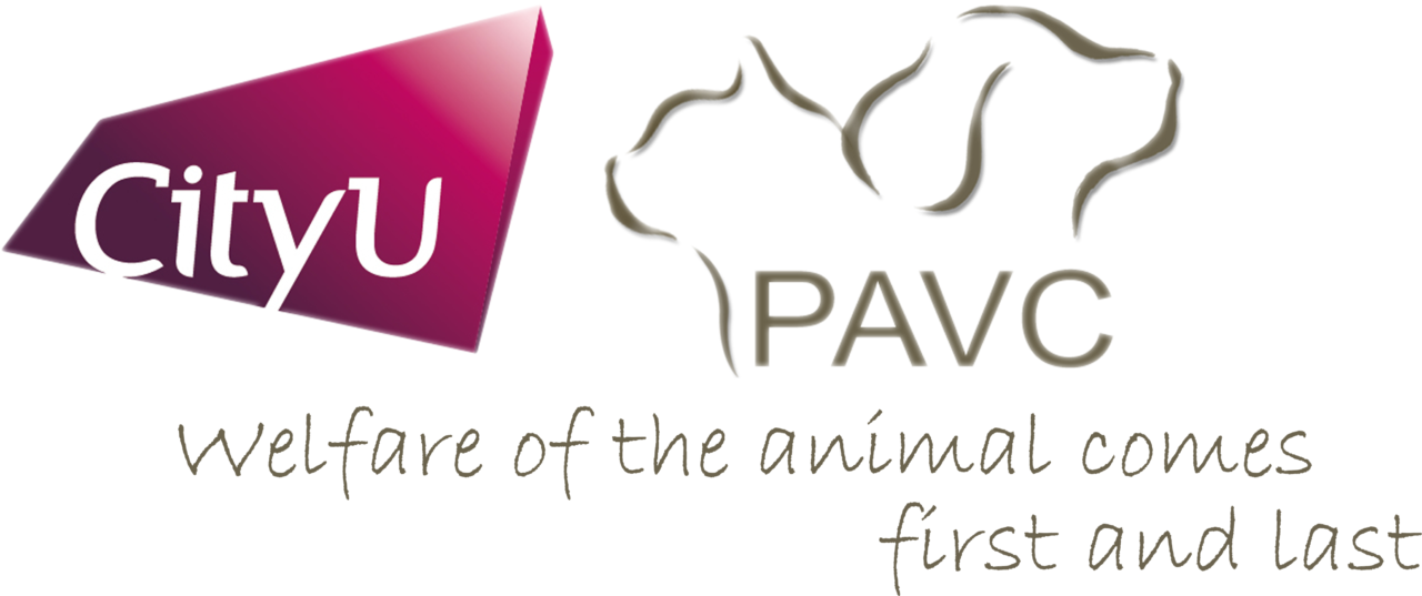 Emergency Doctors and General Practice Veterinarians Veterinary Jobs