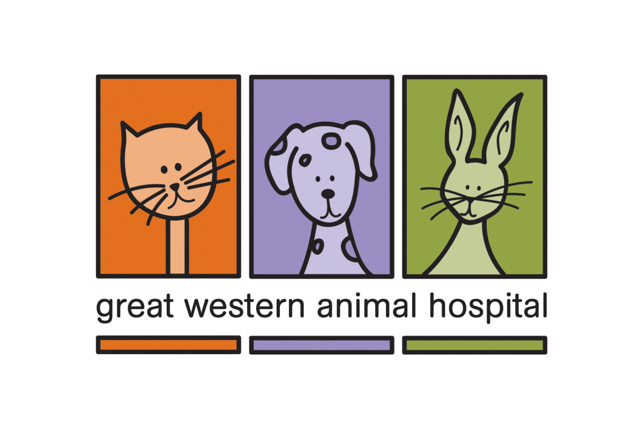 Senior Veterinary Nurse Veterinary Jobs the Fresh Way Australia NZ