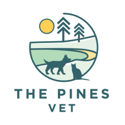 Veterinary Jobs - Vet Jobs - Veterinarian Jobs - DVM Jobs - Veterinary Surgeon Jobs - Veterinary Nurse Jobs - Vet Nurse Jobs - Veterinary Technician Jobs - Vet Tech Jobs - Veterinary Medicine Jobs - Veterinary Surgery Jobs - Vet Life