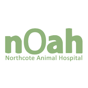 Experienced Veterinary Nurse