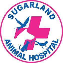Sugarland Animal hospital