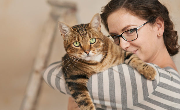 Small Animal Veterinarian