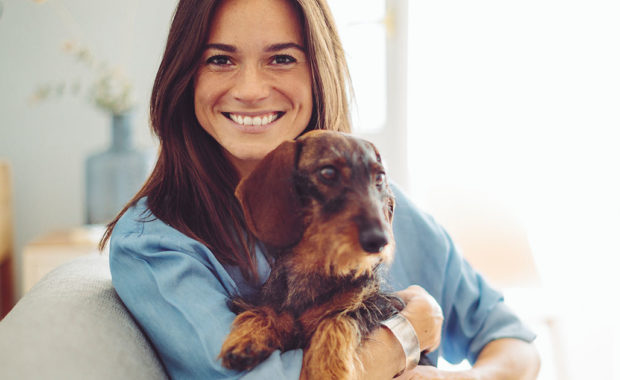 Small Animal Veterinarian